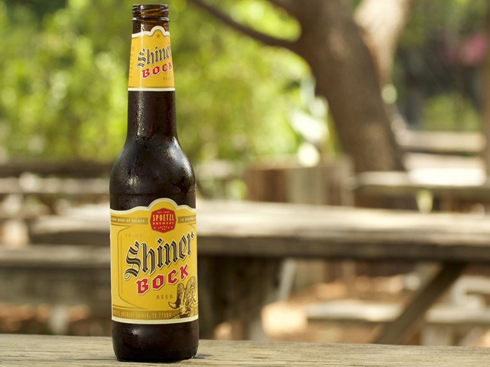 Alcohol Content in Shiner Bock: A Texas Beer Classic