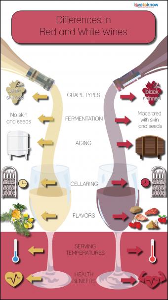 White vs Red Wine: Contrasting Wine Varieties